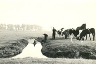 Klik hier om terug te keren