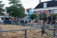 Klik hier om terug te keren