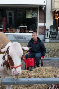 Klik hier om terug te keren