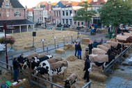 Klik hier om terug te keren