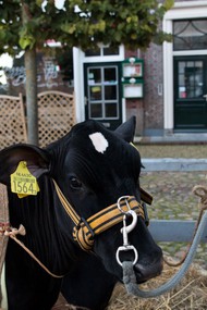 Klik hier om terug te keren