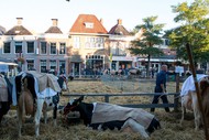 Klik hier om terug te keren