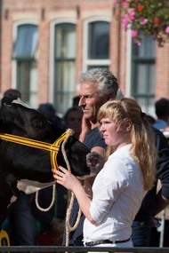 Klik hier om terug te keren