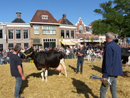 Klik hier om terug te keren