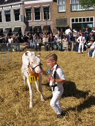 Klik hier om terug te keren