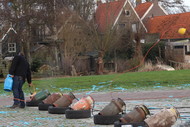 Klik hier om terug te keren