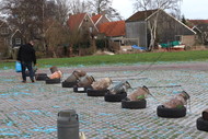 Klik hier om terug te keren