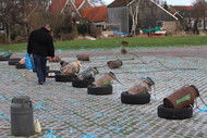Klik hier om terug te keren
