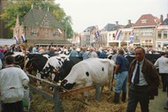 Klik hier om terug te keren
