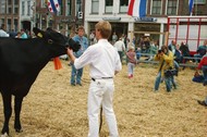 Klik hier om terug te keren