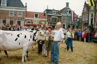 Klik hier om terug te keren