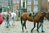 Klik hier om terug te keren