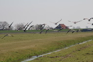 Klik hier om terug te keren
