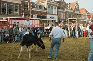 Klik hier om terug te keren