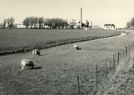 Klik hier om terug te keren