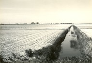 Klik hier om terug te keren
