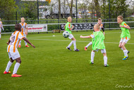 Klik hier om terug te keren