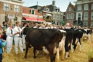 Klik hier om terug te keren