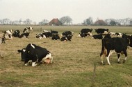 Klik hier om terug te keren