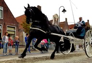 Klik hier om terug te keren