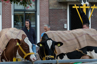 Klik hier om terug te keren