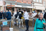 Klik hier om terug te keren
