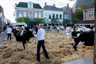 Klik hier om terug te keren