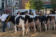 Klik hier om terug te keren
