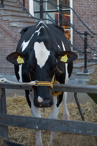 Klik hier om terug te keren