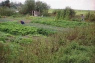 Klik hier om terug te keren