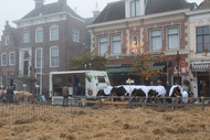 Klik hier om terug te keren