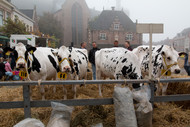 Klik hier om terug te keren