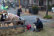 Klik hier om terug te keren