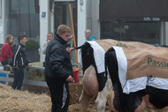 Klik hier om terug te keren