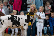 Klik hier om terug te keren