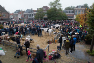 Klik hier om terug te keren