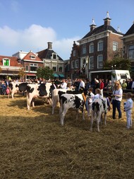 Klik hier om terug te keren