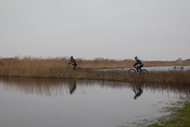Klik hier om terug te keren