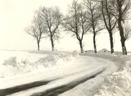 Klik hier om terug te keren