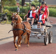 Klik hier om terug te keren