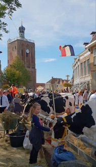 Klik hier om terug te keren