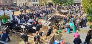 Klik hier om terug te keren