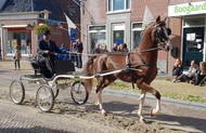 Klik hier om terug te keren