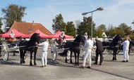 Klik hier om terug te keren
