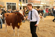Klik hier om terug te keren