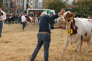 Klik hier om terug te keren