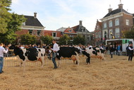 Klik hier om terug te keren