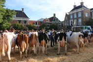 Klik hier om terug te keren