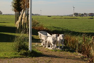 Klik hier om terug te keren