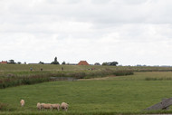 Klik hier om terug te keren